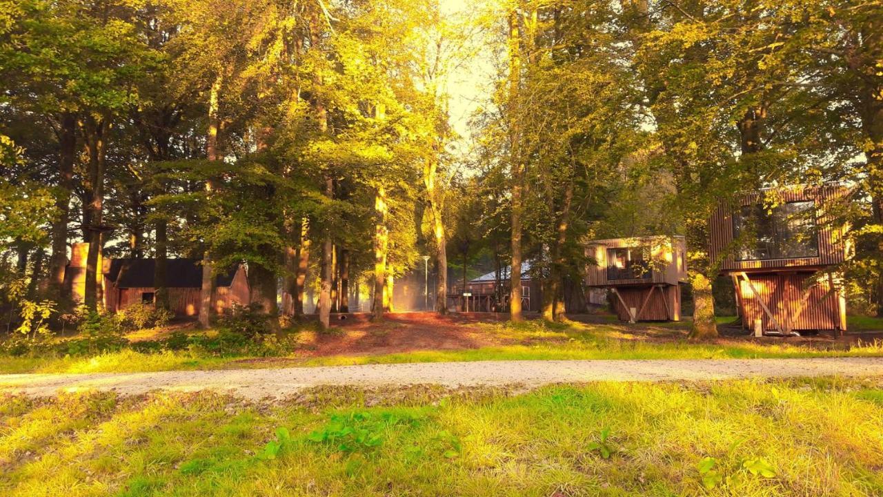 L'Etape En Foret Saint-Sever-Calvados Экстерьер фото